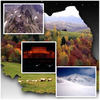 The Adventures of Angelina MAngelina - Nature Photo Book