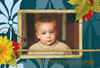 My own biography - Nature Photo Book