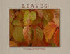 Leaves - Nature Photo Book