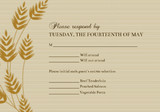 Response Cards - Golden Grains