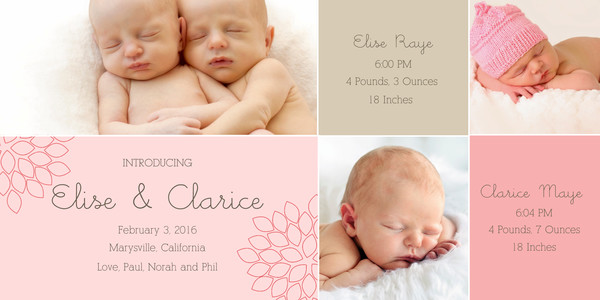 Twin Pink and Brown Color Blocks