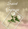 Sant George Story - Stories Photo Book