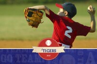 Vintage Baseball 