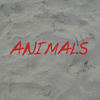 Animals - Nature Photo Book