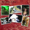 Alex Keeps it Real - Photo Book