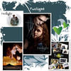 Twilight - Romance Photo Book