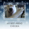 Frank And Chelsea Best Friends Forever - Pets Photo Book