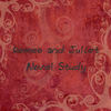Romeo and Juliet Study Guide - Education Photo Book