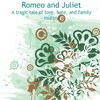 Romeo and Juliet Study Notes - Education Photo Book