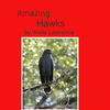 Amazing Hawk - Photo Book