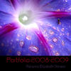 PORTFOLIO 2008-2009 - Interests Photo Book