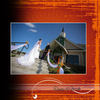 The Pendleton's Wedding - Wedding Photo Book