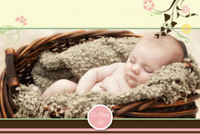 Mixbook Baby Editable Theme