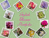 Stylish Blooms Portfolio take 2 - Wedding Photo Book