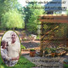 Remember when - Family Photo Book