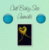 Cute Baby Sea Animals - Nature Photo Book