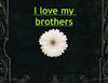 why i love my brother - Family Photo Book