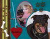 Jasmin - Pets Photo Book