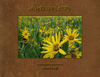 Landscape Artistrey - Nature Photo Book