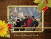 Zion - Nature Photo Book