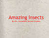 Fernandez Insect Reports - Education Photo Book