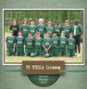 93 TUSA Green  - Interests Photo Book