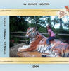 Isis Summer Vacation 2009 - Travel Photo Book