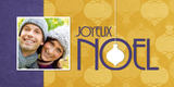 Christmas Cards - Bold Noel
