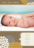 Photo Birth Announcements - Textured Blooms