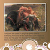 La Belle Dame sans Merci - Photo Book