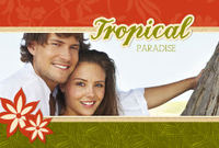 Tropical Paradise 