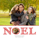 Christmas Cards - Noel Frame