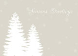 Holiday Photo Cards - Evergreen Accent