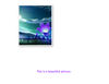 Purple Flowers - Education Photo Book