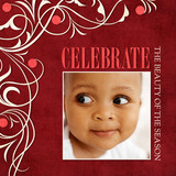 Christmas Cards - Celebrate the Beauty