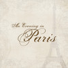 Party Invitations - An Evening in Paris by Mixbook